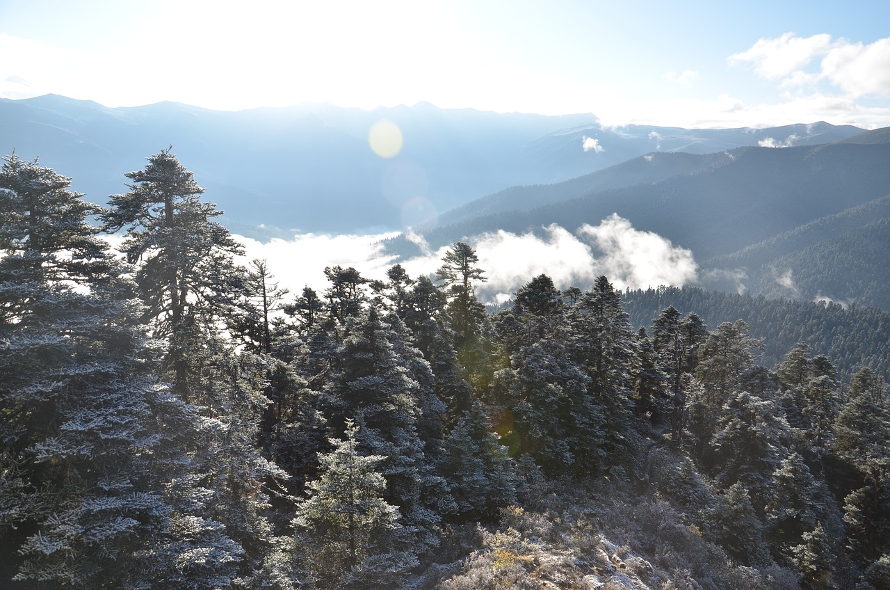 川西最新下雪，雪落人间，美景如画尽收眼底